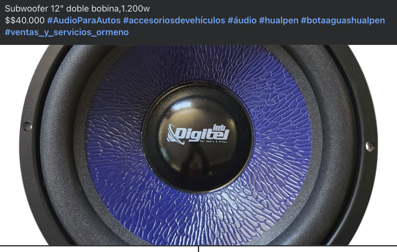 Subwoofer 12" doble bobina, 1.200w